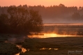 071_Biebrza - kwiecien 2012